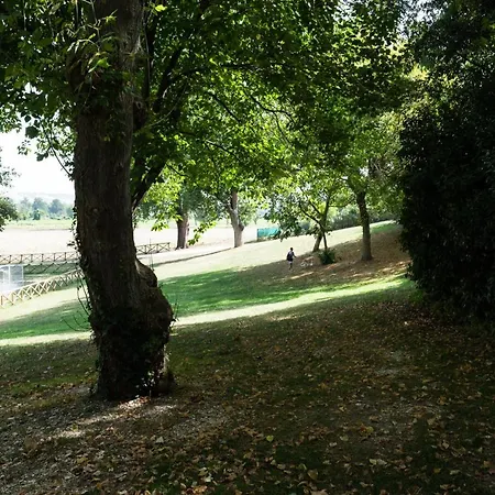 Healthy Three Lanes ------------------ A Particular Lejlighed
