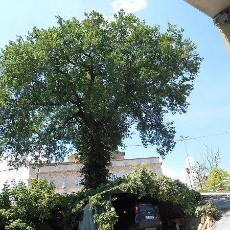 Healthy Three Lanes ------------------ A Particular * Monte San Pietrangeli